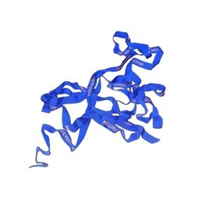 Louis Vuitton Authentic Ribbon 78”